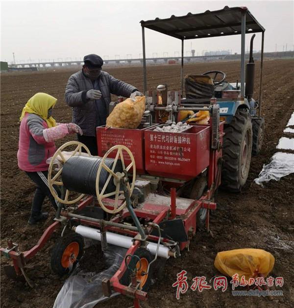 黄金三周连涨，分散投资风险魅力持续增强